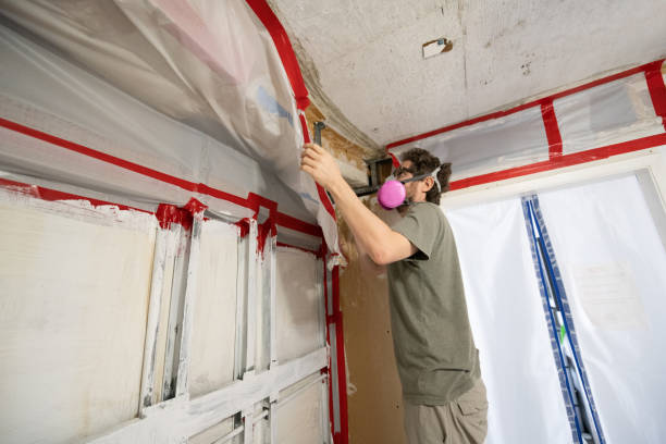 Best Mold Prevention Services  in Greenville, NY