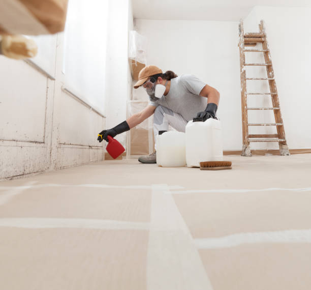 Best Attic Mold Removal  in Greenville, NY